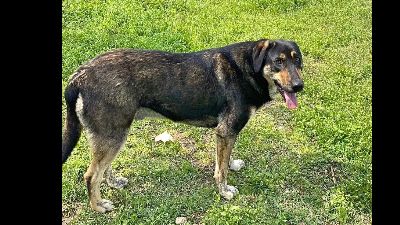 Benutzerbild von Kimon