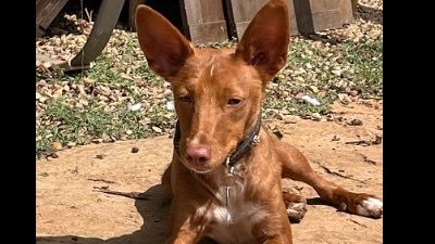 Benutzerbild von Lizzy CH40 - braucht Zeit zu vertrauen