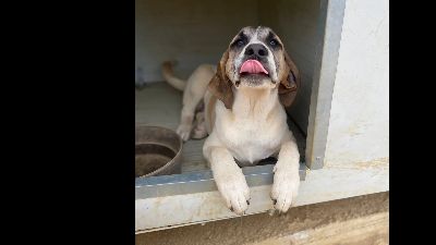 Benutzerbild von Lusy