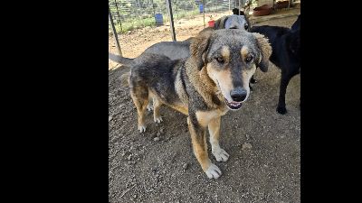 Benutzerbild von Lucky