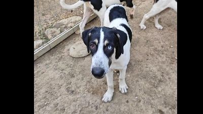 Benutzerbild von Milka