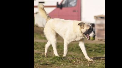 Benutzerbild von Smilla