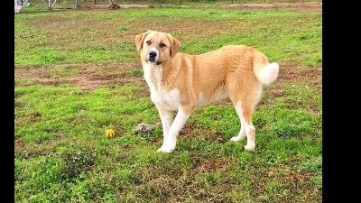 Benutzerbild von Leni