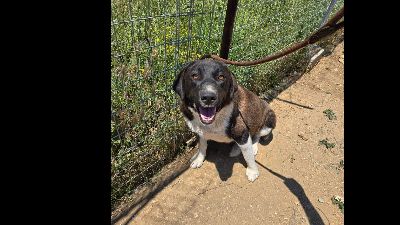 Benutzerbild von Snoopy