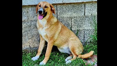 Benutzerbild von Bibi