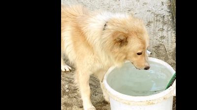 Benutzerbild von Bounty