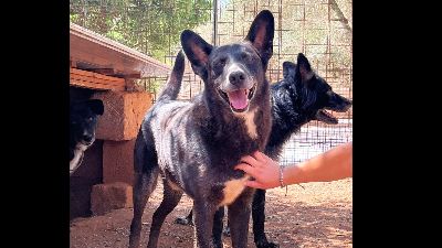 Benutzerbild von Lucio möchte endlich ankommen
