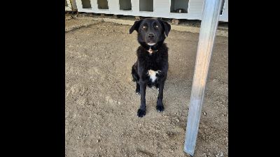 Benutzerbild von Costa