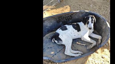 Benutzerbild von Mario