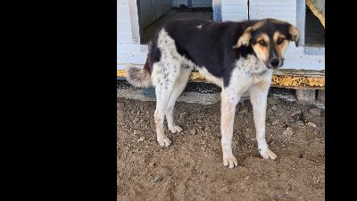 Benutzerbild von Carlos