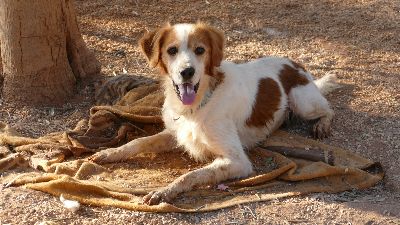 Benutzerbild von Theo sucht seine Menschen