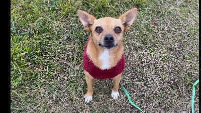 Benutzerbild von Gina möchte endlich ankommen