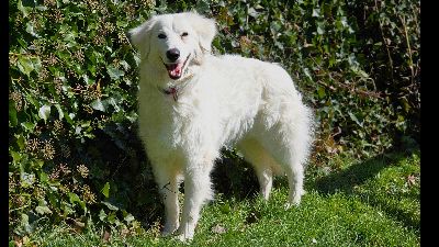 Benutzerbild von Barbie sucht ihre Menschen