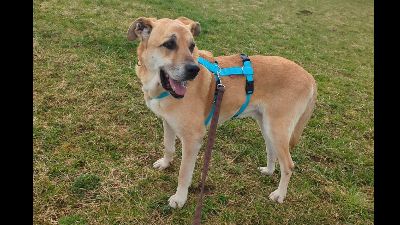 Benutzerbild von Amerigo möchte endlich ankommen