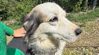 Benutzerbild von Jenny, sehr freundlich und menschenbezogen