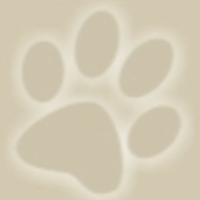 Benutzerbild von Hundehilfe Hundeherzen e.V.