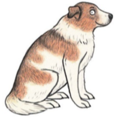 Benutzerbild von Little Souls Home e.V.