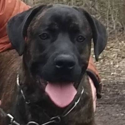 Benutzerbild von Frank